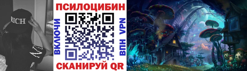 как найти   Нарткала  Псилоцибиновые грибы Psilocybine cubensis 