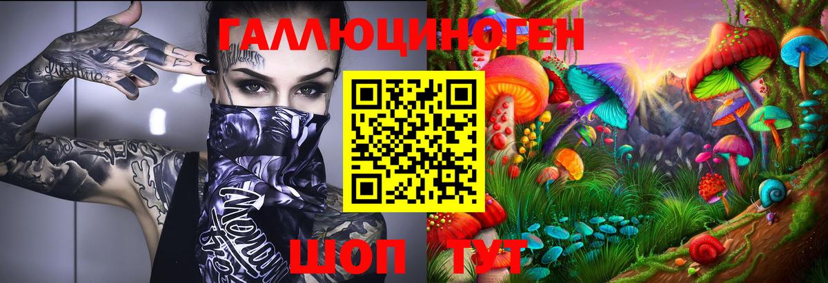 Псилоцибиновые грибы Cubensis Нарткала