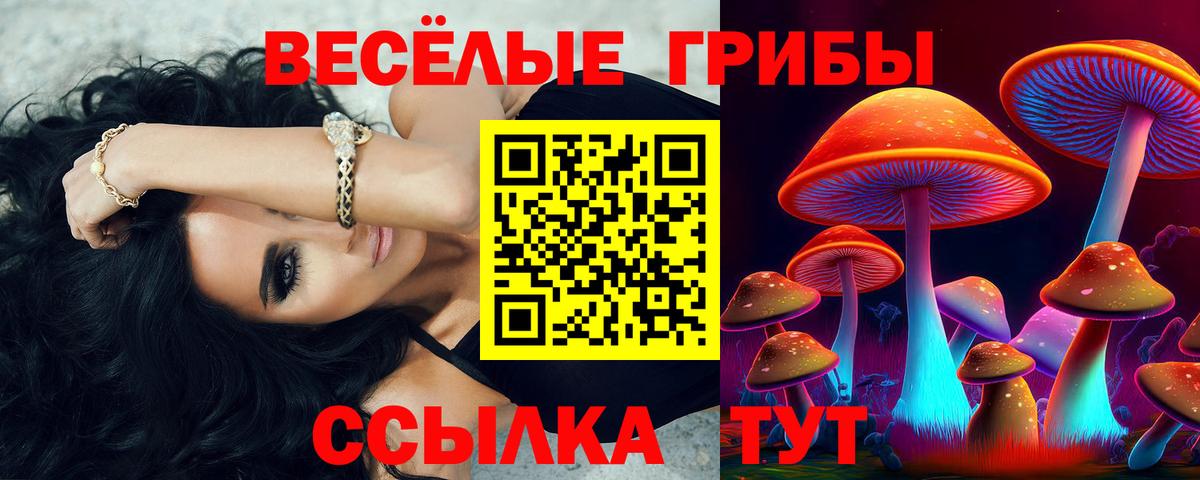 Нарткала  Галлюциногенные грибы Psilocybine cubensis  Галлюциногенные грибы мухоморы  Вход с VPN 
